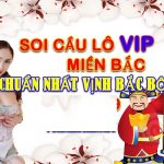 tư vấn xs soi cầu song thủ lô kép mb víp